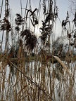 2021-01-24 getrennte Corona Grünkohlwanderung Familien Demuth, Glagau, Hägerling, Heuer, Lüssmann, Piening und Gabi und Uschi 010